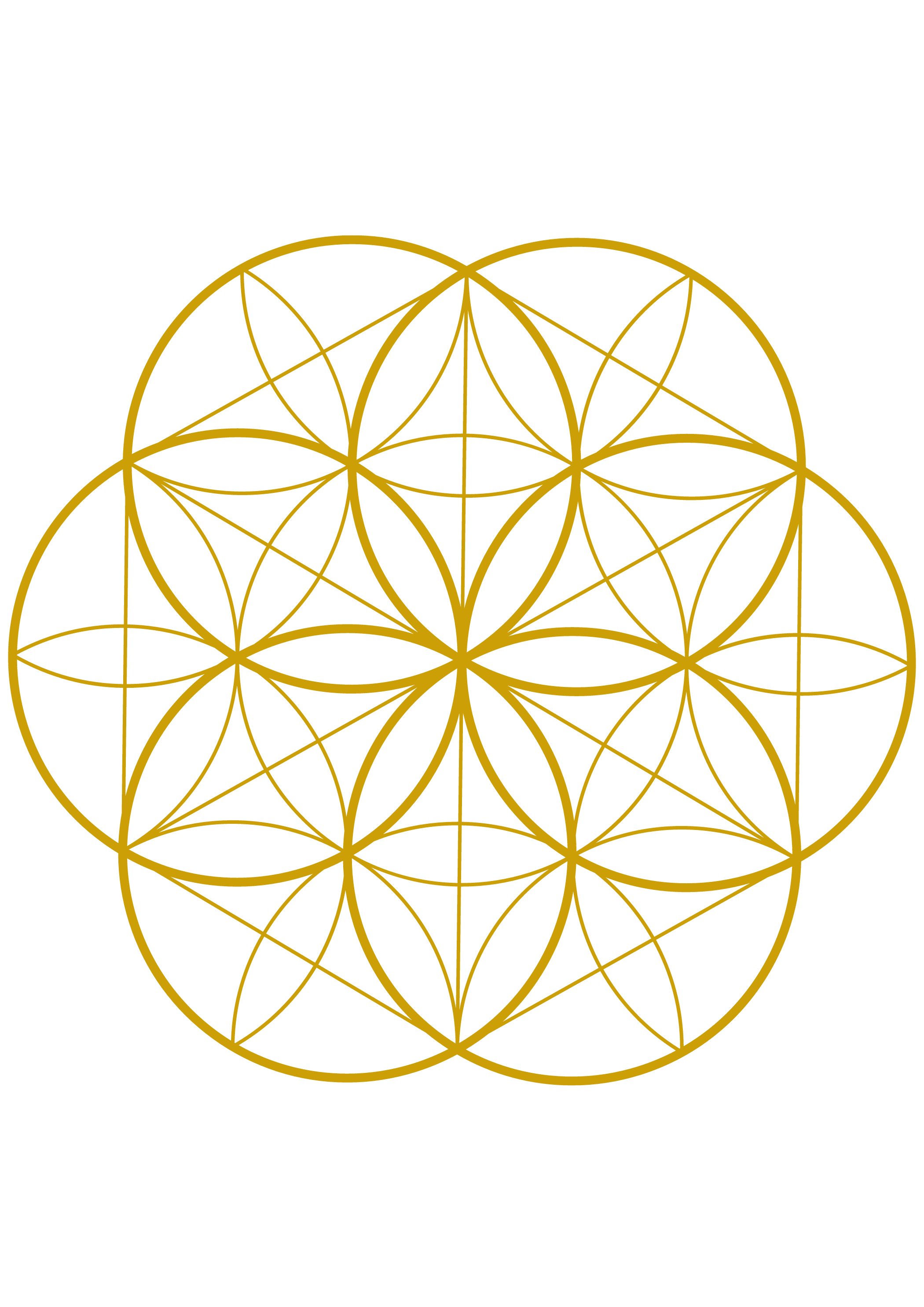 FSN-Kreis-Des-Lebens